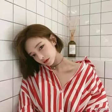 豺狼